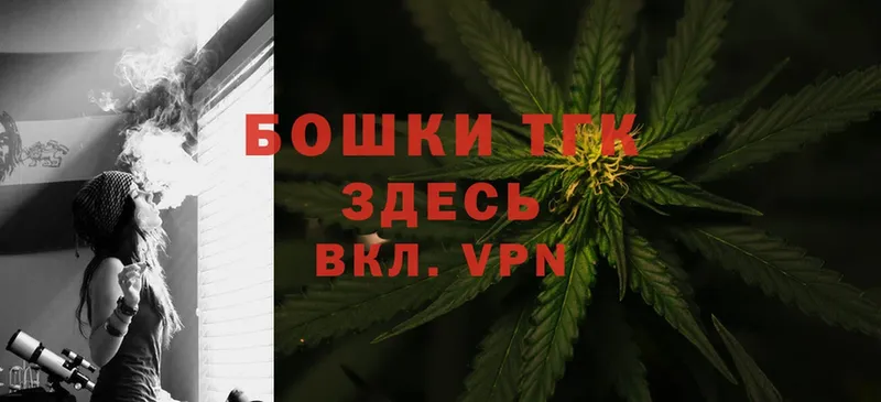 продажа наркотиков  мега сайт  Конопля SATIVA & INDICA  Чкаловск 